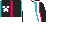 Free Follower’s Minecraft cape texture sheet